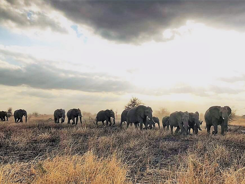 annual SA National Parks Week will run from 11 to 16 September 2022
