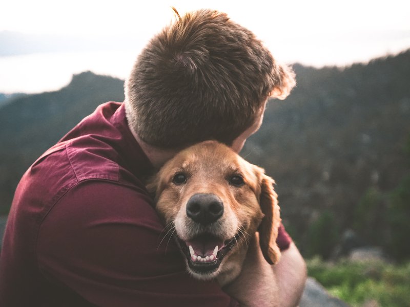 dog and owner embrace happy