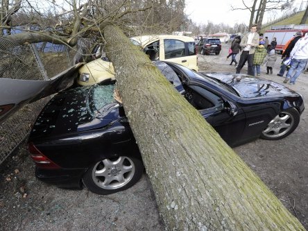 eu storm.jpg