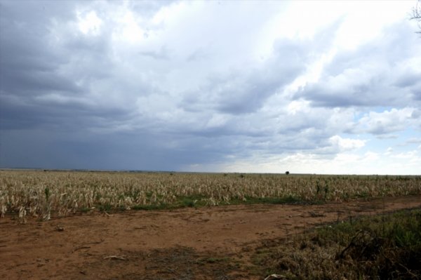 Farm field