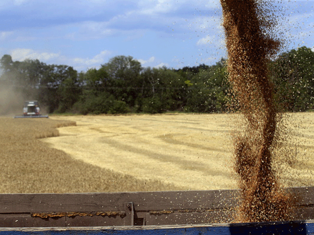 Farming, agriculture