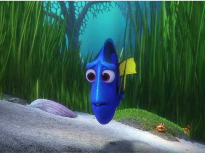 Finding Dori