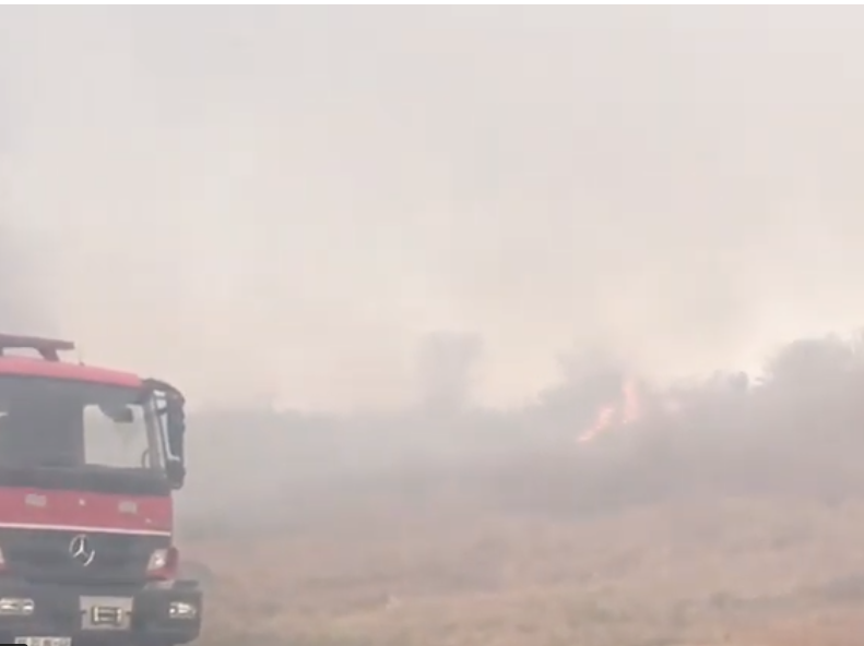 michael fire