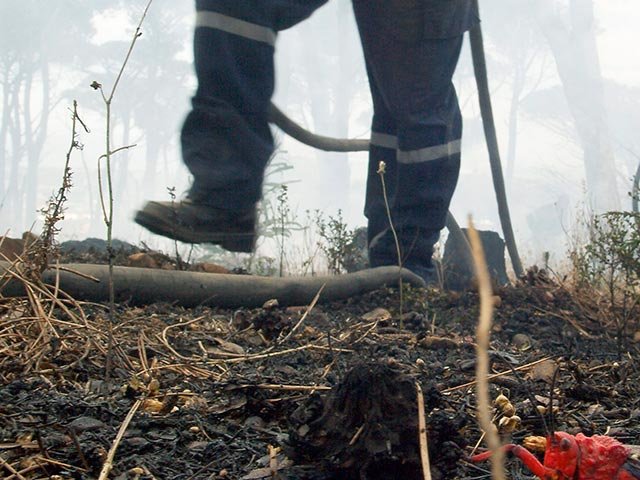 firefighters-gallo
