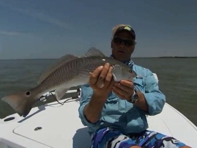 fish02.jpg
