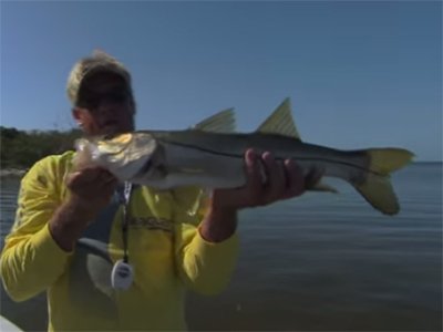 fish_2_andre.jpg