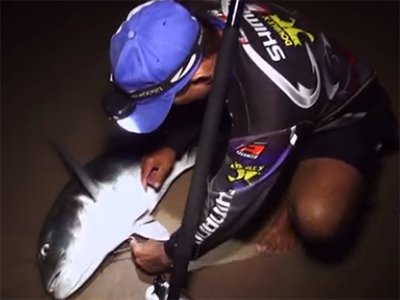 fish_andre.jpg