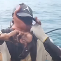 WATCH: Fisherman fights and struggles to remove octopus from face