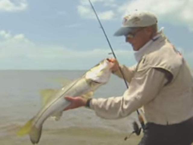 fishing-where-sharks-hunt-edited_1.png