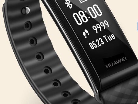 Fitband