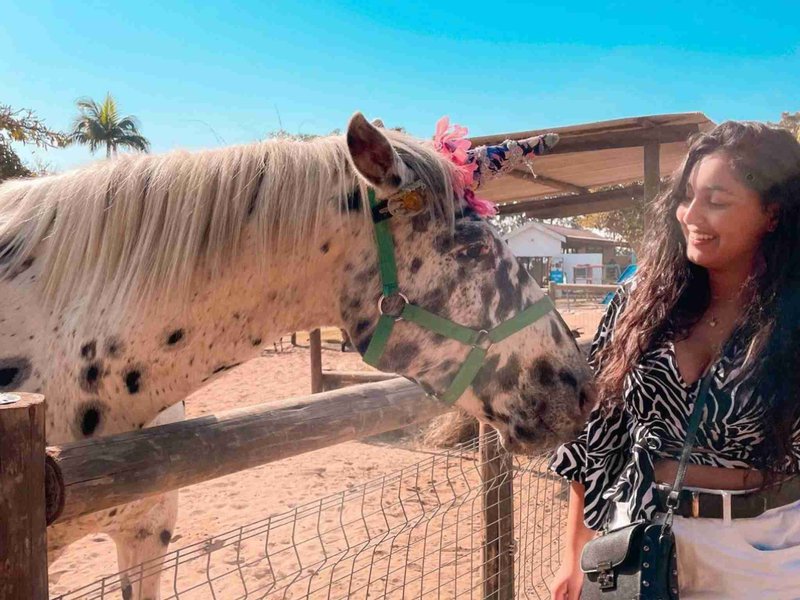 A day out with the family at Flag Animal Farm