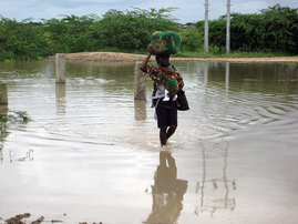 Mozambique floods