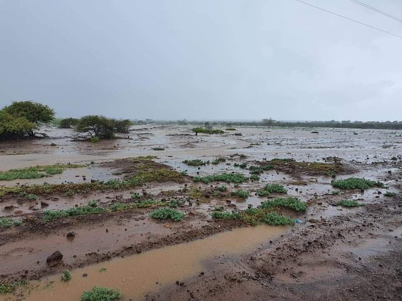 cogta flooding eloise