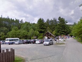 Hokkaido forest_google maps