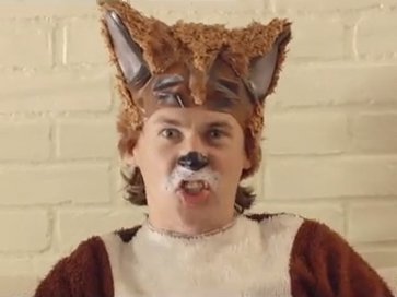 fox.jpg