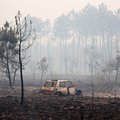 Burnt car and trees following a wildfire in southwestern France in July 2026