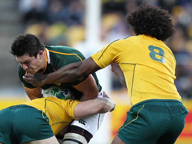 francoislouw_gallo_1.jpg
