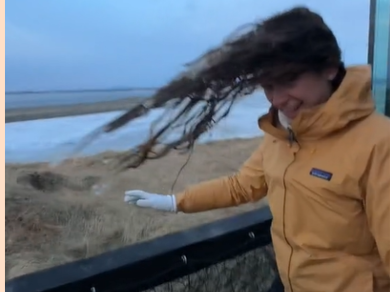 Frozen hair video