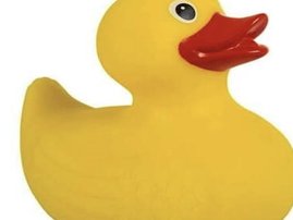 fugitive_duck_600x600