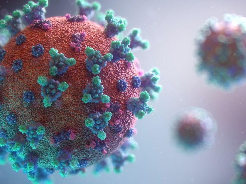 Disease like Monkeypox will become a pandemic if it's not stopped or reported.