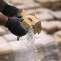 Cocaine Bust