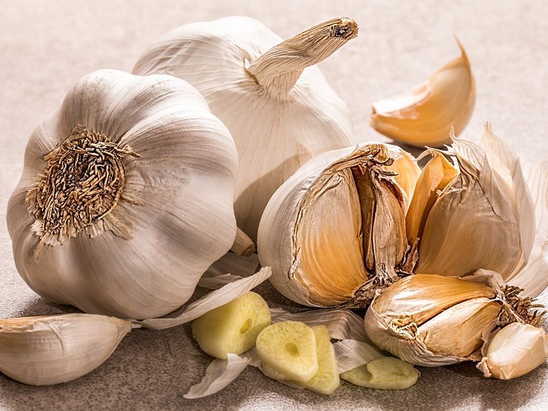 garlic