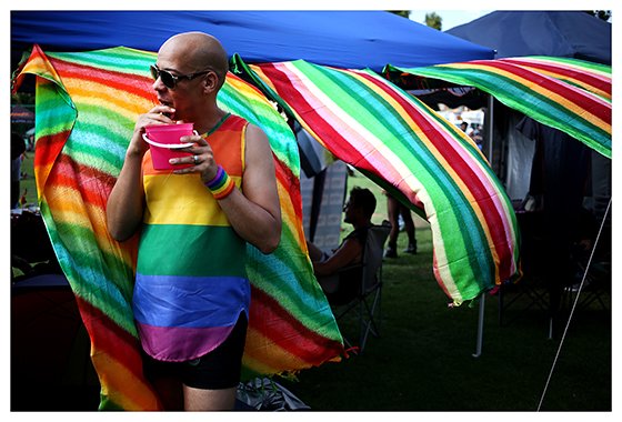 Gay pride-gallo