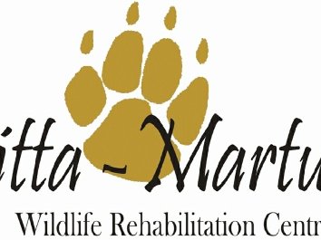 gitta logo.jpg