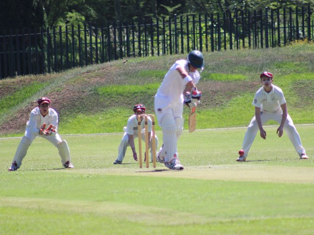 glenwood_cricket_2015.jpg