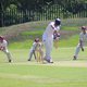 glenwood_cricket_2015.jpg