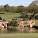 Alfred Dunhill Championship Leopard Creek_video