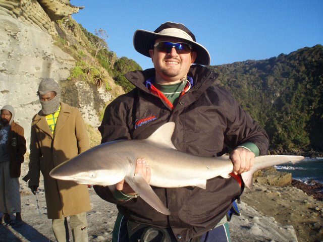grey-shark_gallo_1.jpg