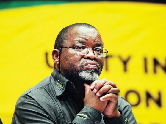 gwede mantashe_4.jpg