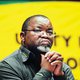 gwede mantashe_4.jpg