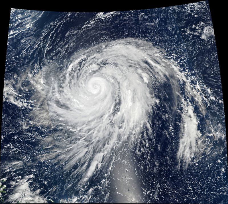 Typhoon Hagibis