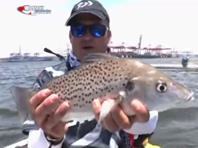 harbour-hunter-grunter-fishing-edited_1.png