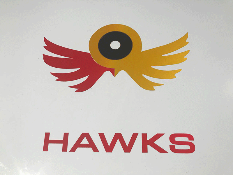 KZN HAWKS