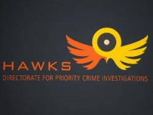 hawks_1.jpg