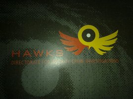 hawks_3.jpg