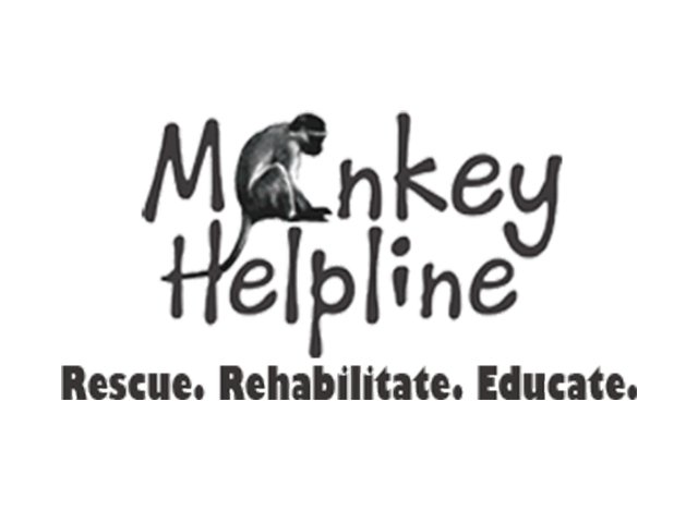 Help Me Monkey Monkey help line