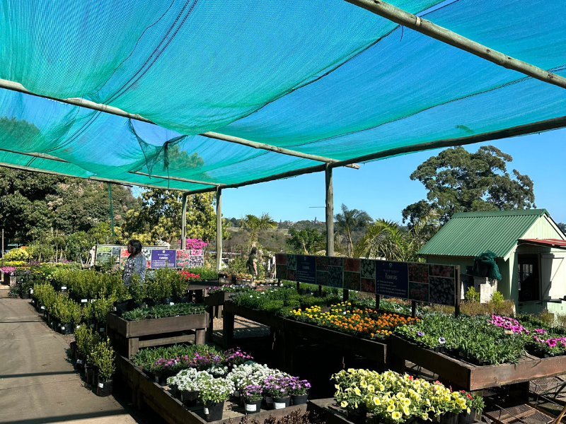 Hidden Gem: The Hingham Nursery in Durban North