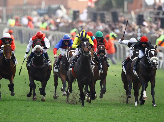 horseracing_gallo2_MMT81ho.jpg