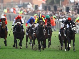 horseracing_gallo_SEQoN9m.jpg