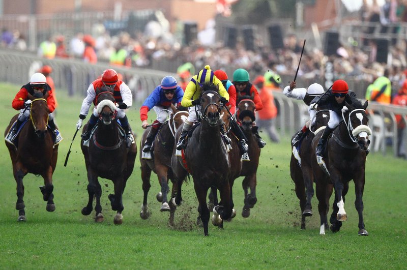 horseracing_gallo_SEQoN9m.jpg