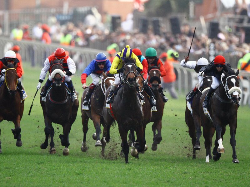 horseracing_gallo_n4iw9Tv.jpg