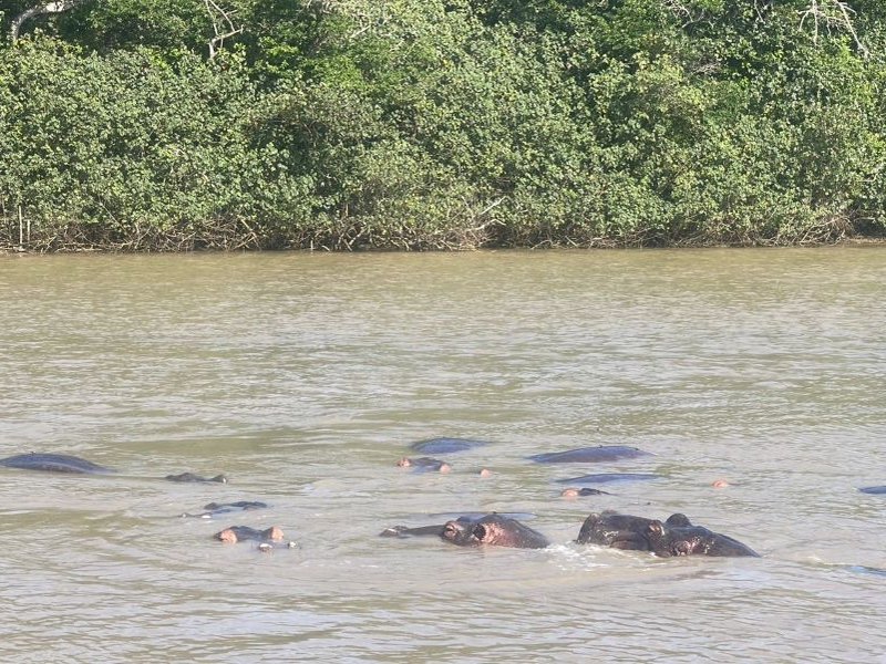 iSimangaliso Wetland Park gears up for safe festive season