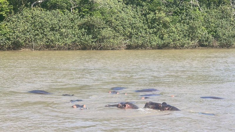iSimangaliso Wetland Park gears up for safe festive season