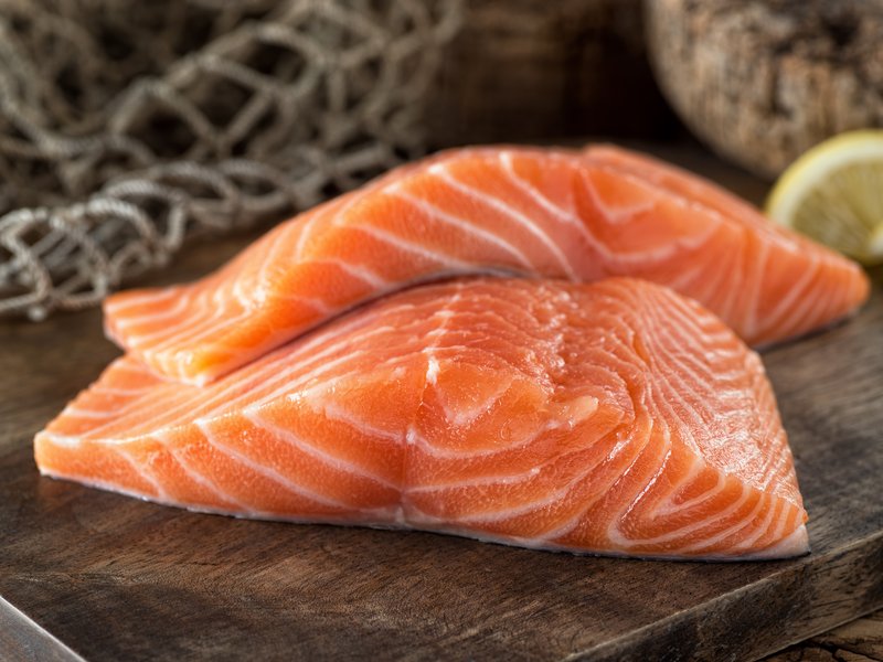 Salmon