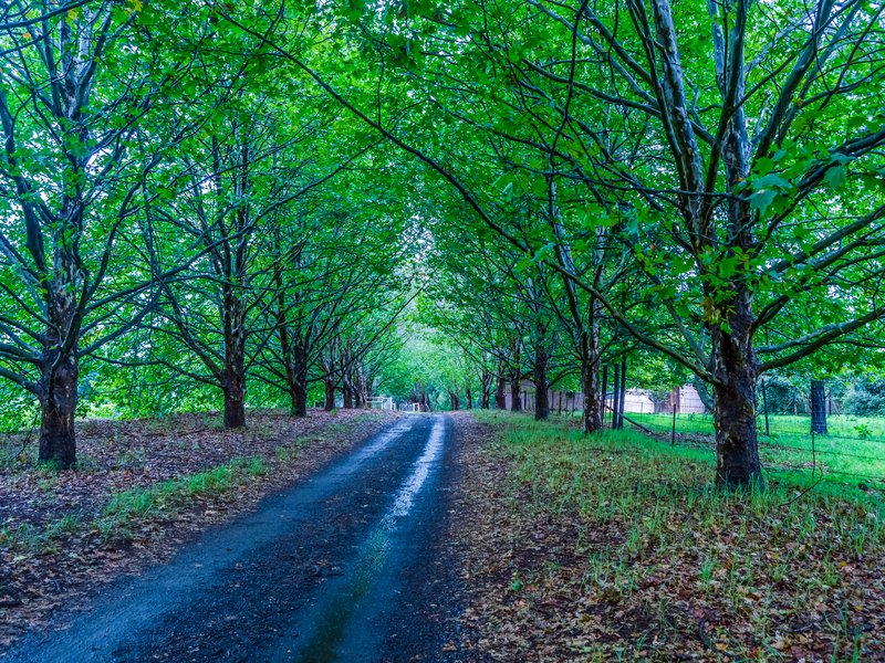 Midlands Meander / iStock 1
