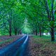 Midlands Meander / iStock 1